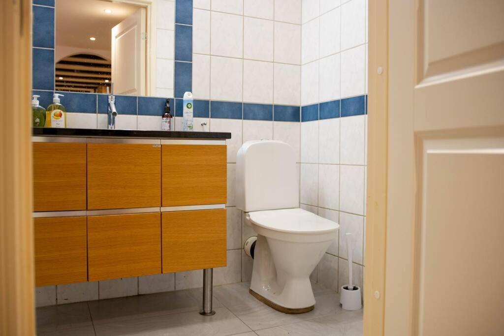 Historical Malt Factory Apartment, 6 Bedrooms, Sleeps 12 , Hot Tub 赫尔辛堡 外观 照片